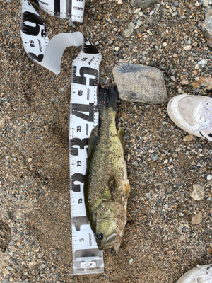 不安定な天気で