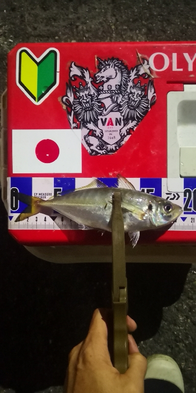 アジング練習　306