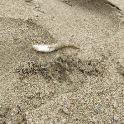 久しぶりのキス狙い