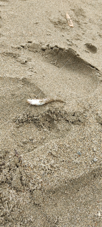 久しぶりのキス狙い