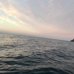 夜焚きイカメタル