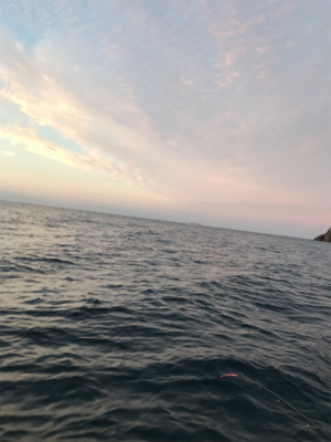 夜焚きイカメタル