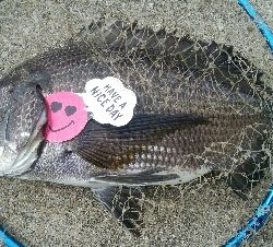 『釣りデビュー(^-^*』191日目