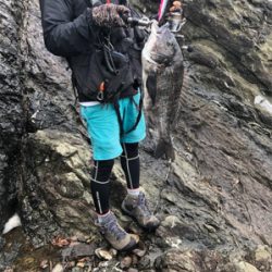 サラシ歳無し黒鯛