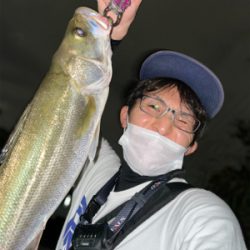 新河岸川　雨後　増水濁りシーバス