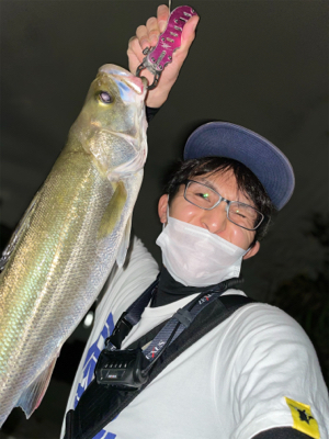 新河岸川　雨後　増水濁りシーバス