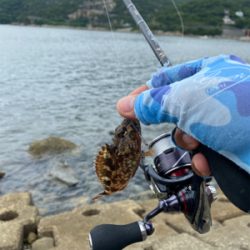 春イカ、ラストかなぁ