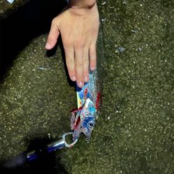 暴風の中、なんとか