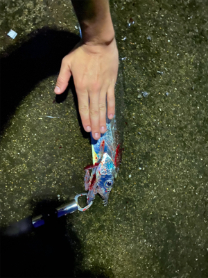 暴風の中、なんとか