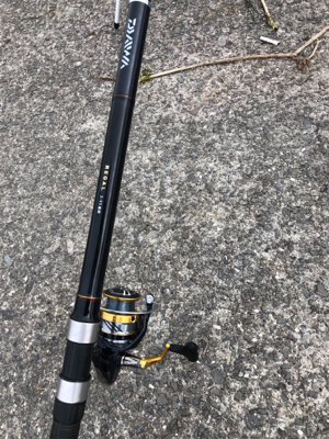 ハマチ？メジロ？