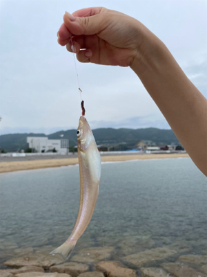 キスは大きくなったかな？