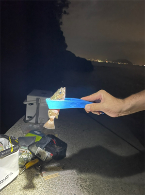 子メバルしかおらん…