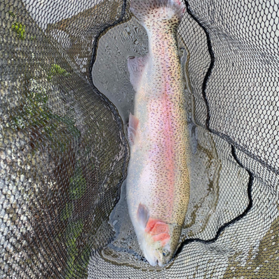 第一回黒保根渓流フィッシングファンミーティング