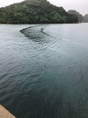 昼からのエギング！