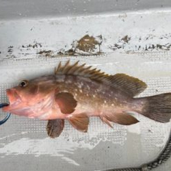 豪雨一つテンヤ