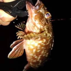 爆風 半端ねー!