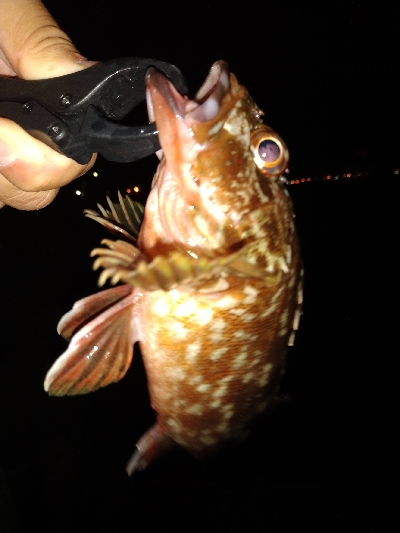 爆風 半端ねー!