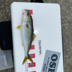 スーパーライトショアジギング