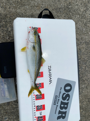 スーパーライトショアジギング