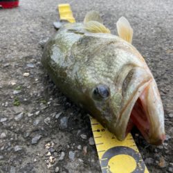 久しぶりの琵琶湖