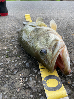 久しぶりの琵琶湖