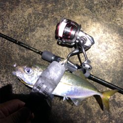 2021 佐渡ヶ島ライトゲーム