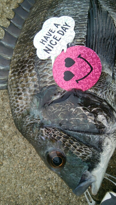 『釣りデビュー(^^)』祝200日目