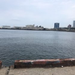 サビキと穴釣り