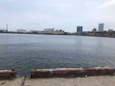 サビキと穴釣り