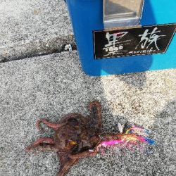 オクトパッシング