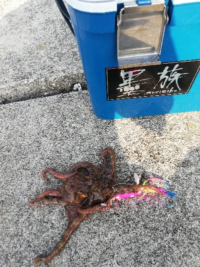 オクトパッシング