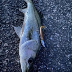 トップでだしたかったー。