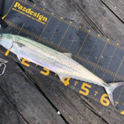 今日は福井遠征