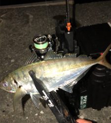 仕事帰りのアジングナイト