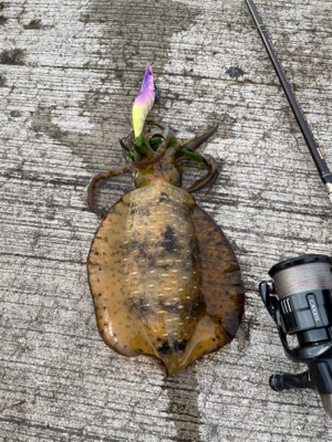 ダメもとで❗️…