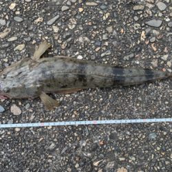 初めての和歌浦漁港