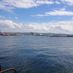 ショアジギング