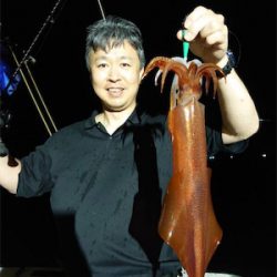 初めてのイカメタル