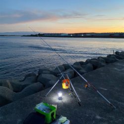 キス釣り、ハゼ釣り