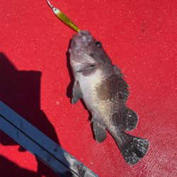 経ヶ岬沖中深海のジギング