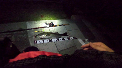 ジョイクロシーバス