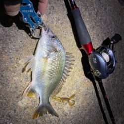 淀川ブリームゲーム