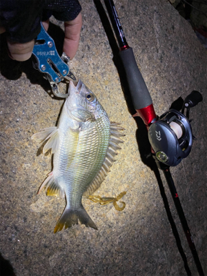 淀川ブリームゲーム