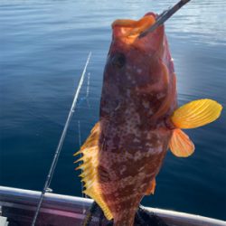 五目釣楽しい！