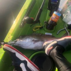 カヤックフィッシング