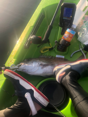 カヤックフィッシング