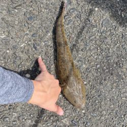 初めてのポイントで！