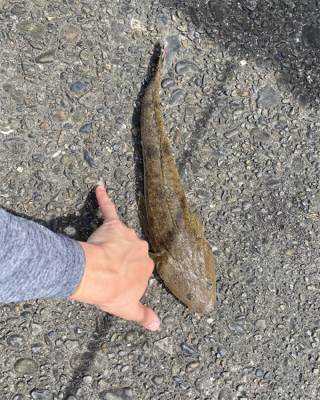 初めてのポイントで！