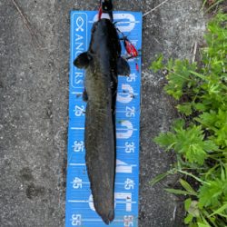 夕方から夜にかけてランガン