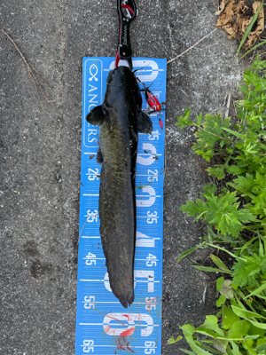 夕方から夜にかけてランガン